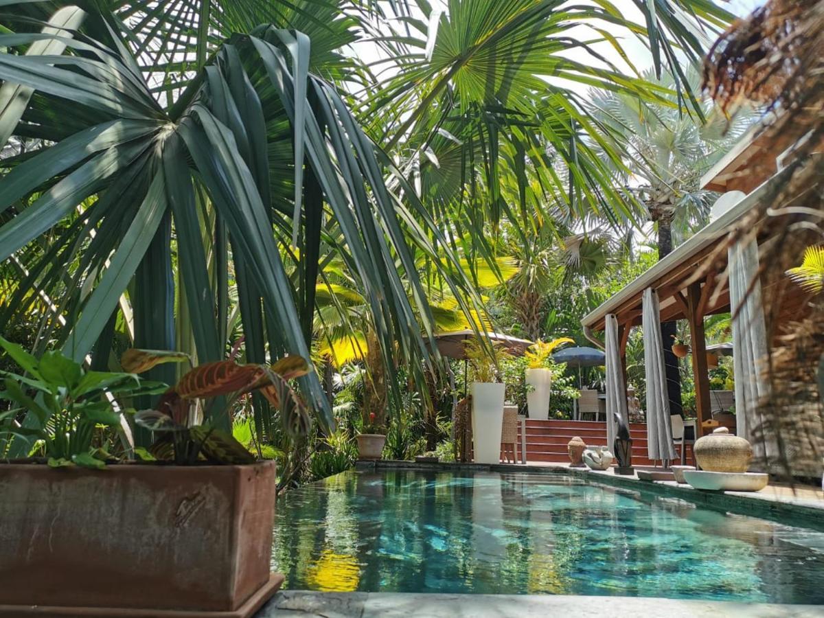 Lodge Palmae Saint Pierre Bagian luar foto